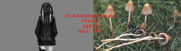 не бодяженный Абинск