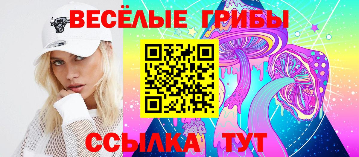 купить наркоту  Вход с VPN  Псилоцибиновые грибы мухоморы  Кисловодск  Галлюциногенные грибы Psilocybine cubensis 