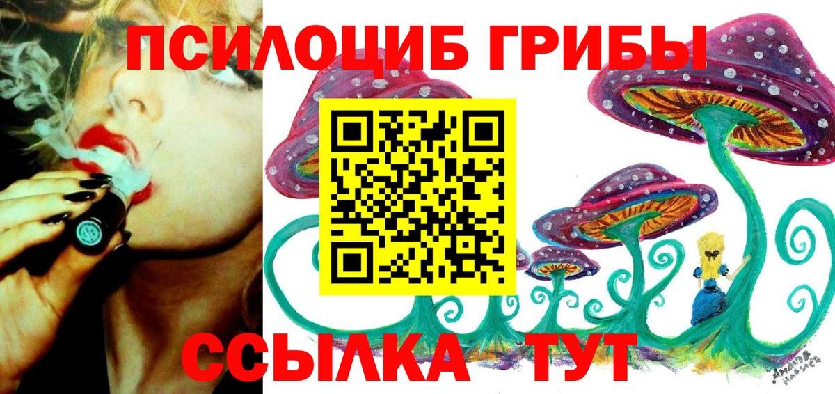 Галлюциногенные грибы Cubensis Кисловодск