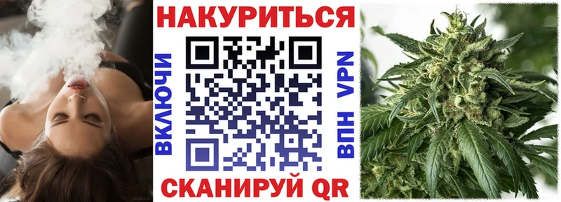 Каннабис план Кисловодск